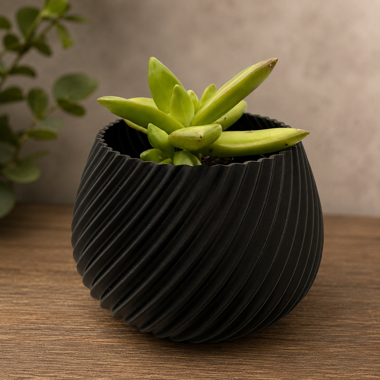 Cozy Planter